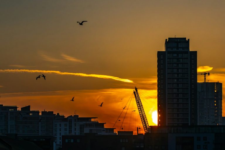 Sunset silhouettes buildings with birds flying.